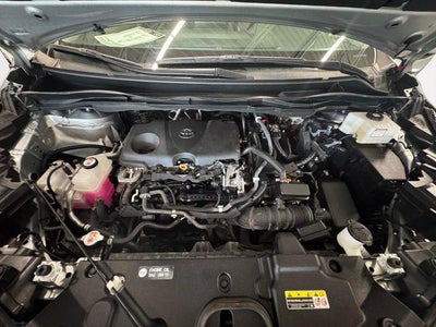2021 Toyota Sienna XLE 8 Passenger