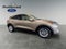 2020 Ford Escape SE 1.5 Liter EcoBoost AWD