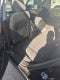 2019 GMC Terrain SLE 1.5 Liter AWD